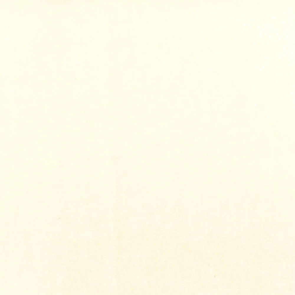 Baked Ivory Cotton Stretch Broadcloth Fabric