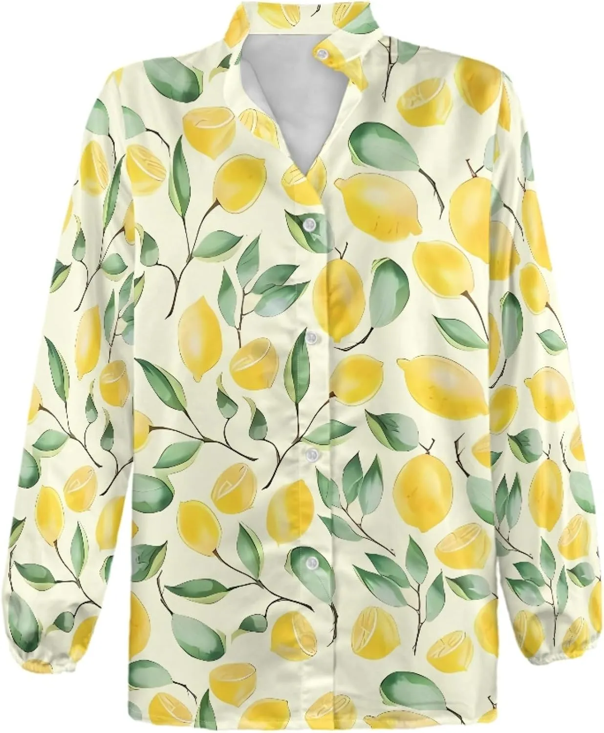 Coloranimal Women's Casual Long Sleeve Shirts Button Up V-Neck Blouse Tunic Tops Size S-5XL