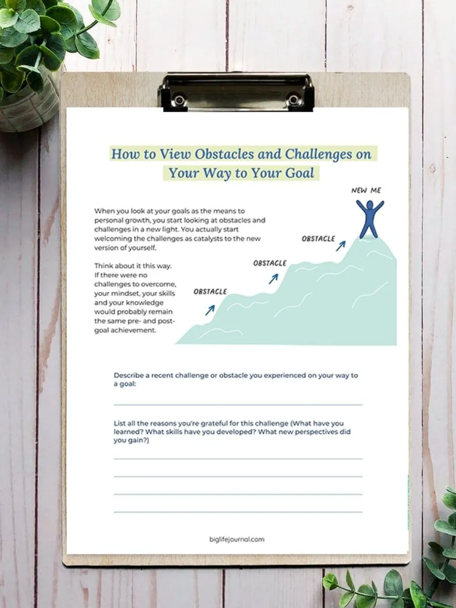 Goal Setting Kit PDF (ages 18-99)