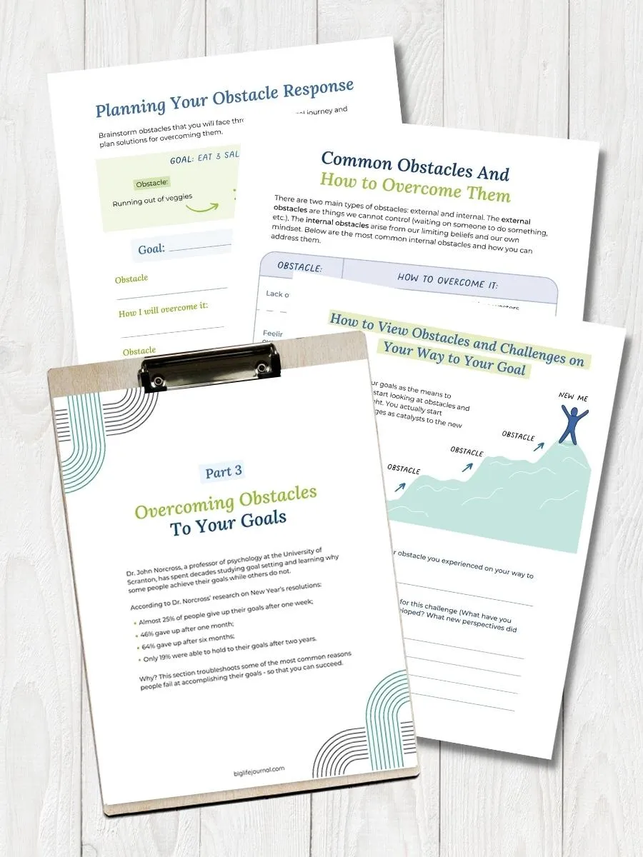 Goal Setting Kit PDF (ages 18-99)