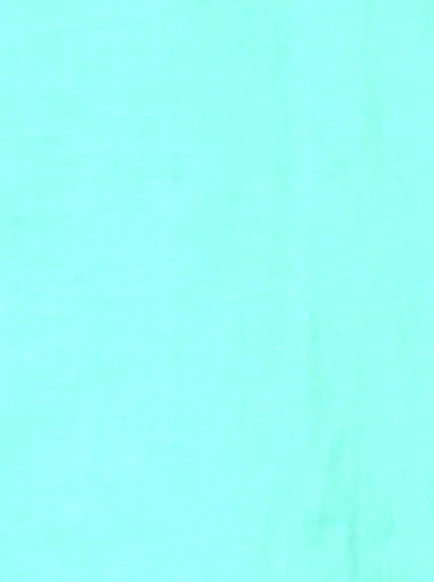 Sea Green Solid Slim Fit Casual Shirt | JadeBlue