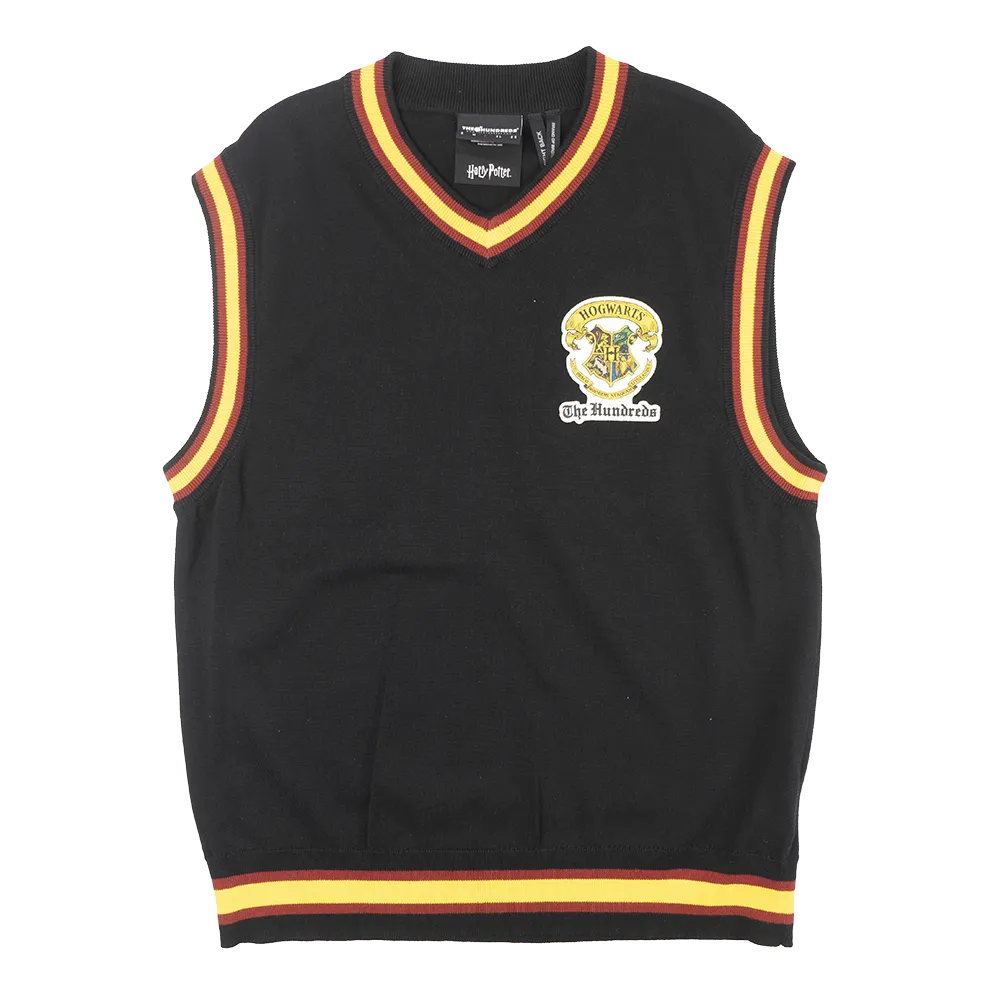 THE HUNDREDS ASSORTED SWEATER VESTS - 100SVST09
